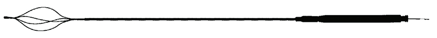 litotripsia