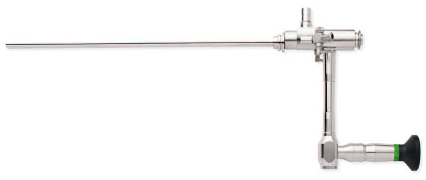 nefroscopia